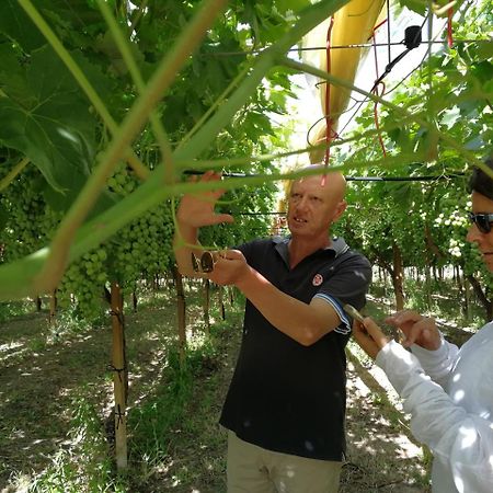 Masseria Marico Καστελανέτα Εξωτερικό φωτογραφία