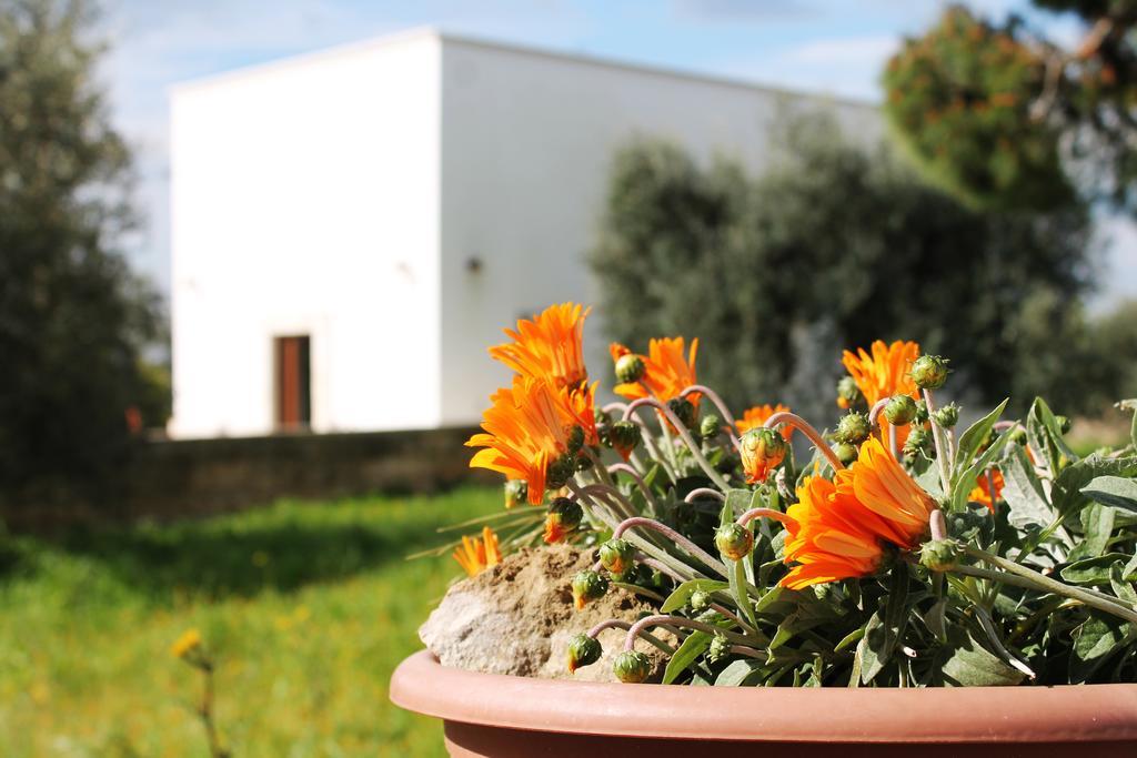 Masseria Marico Καστελανέτα Δωμάτιο φωτογραφία