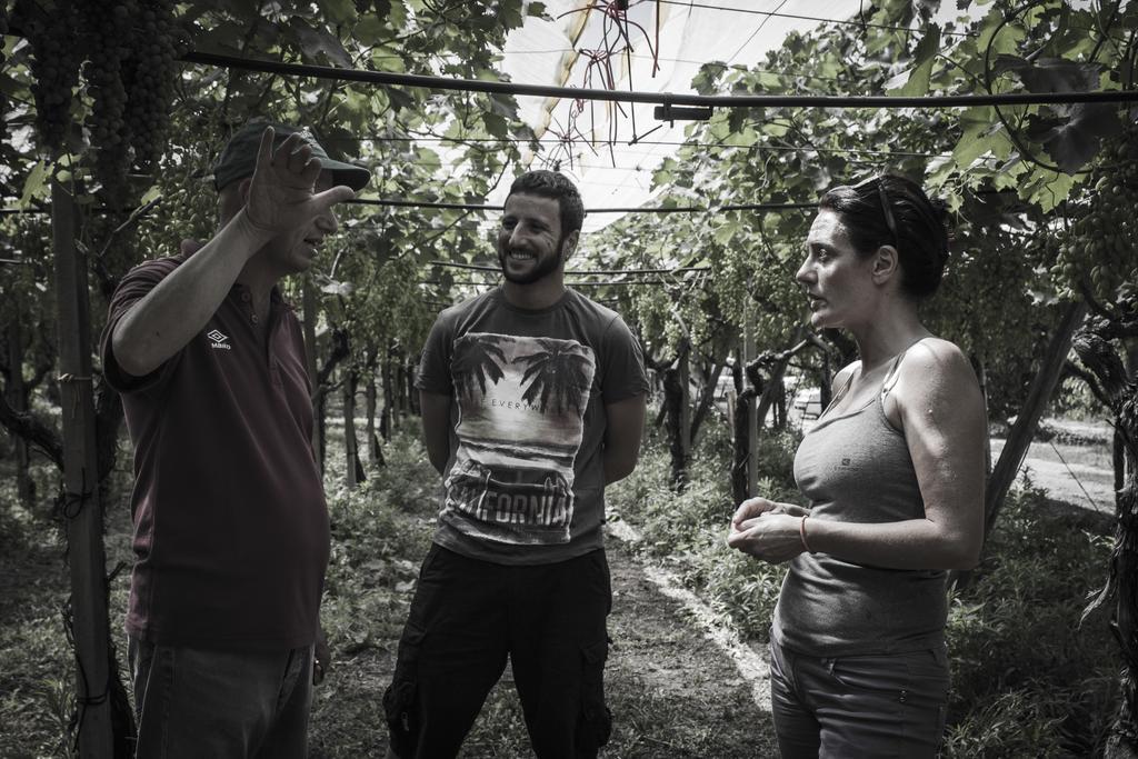 Masseria Marico Καστελανέτα Εξωτερικό φωτογραφία