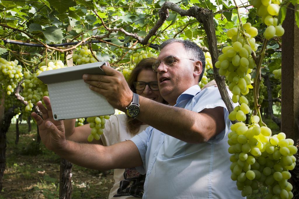 Masseria Marico Καστελανέτα Εξωτερικό φωτογραφία