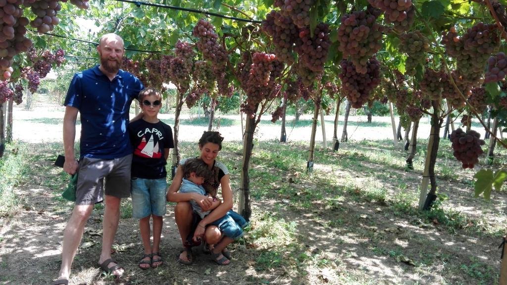 Masseria Marico Καστελανέτα Εξωτερικό φωτογραφία