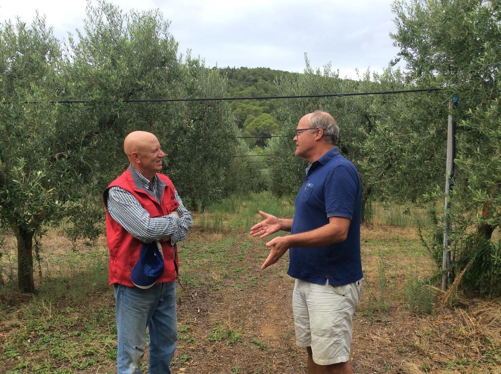 Masseria Marico Καστελανέτα Εξωτερικό φωτογραφία