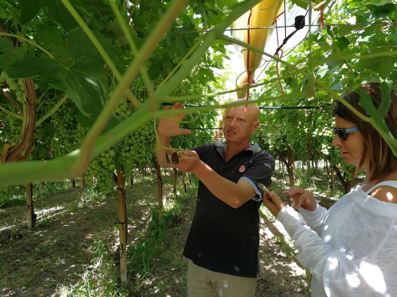 Masseria Marico Καστελανέτα Εξωτερικό φωτογραφία